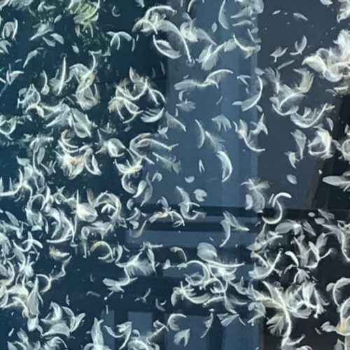 IMG-20191008-WA0015